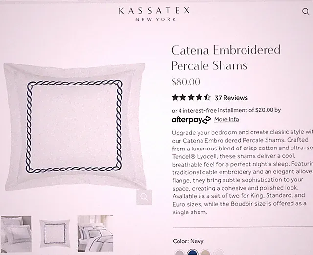2 Kassatex Catena Euro Shams White Blue Embroidered Scroll Design 26”x26” +2 “